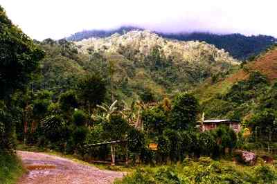 Costa Rica - Chirripo Nationalpark
