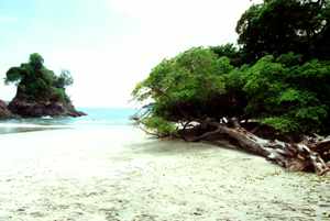 Costa Rica: Playa Manuel Antonio
