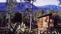 Costa Rica: Talamanca Gebirge - Selva Bananito Lodge