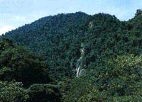 Costa Rica: Tapanti Nationalpark