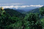 Costa Rica Rundreise: Cerro de la Muerte