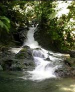 Costa Rica: Esquinas Regenwald der Österreicher