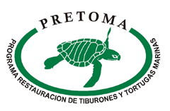 PRETOMA - Programa de Restauracion de Tortugas Marinas