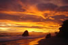 Florblanca Resort: Santa Teresa Beach