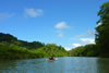 Playa Nicuesa Rainforest Lodge: Kayaking